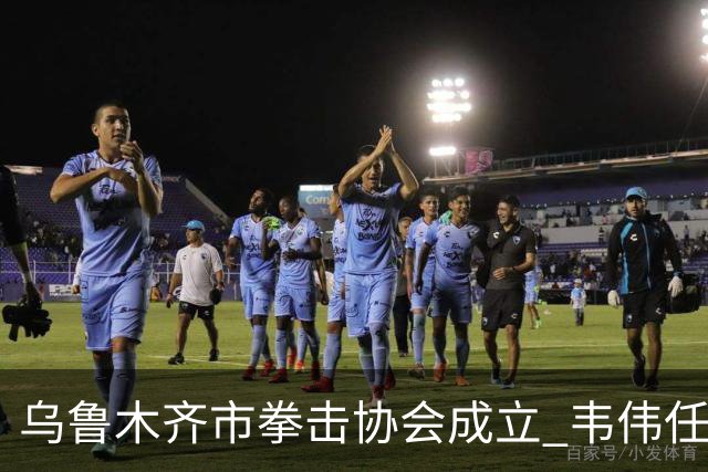 乌鲁木齐市拳击协会成立 韦伟任会长